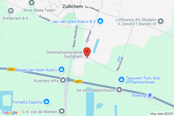 Dierenartsenpraktijk Suylighem BV