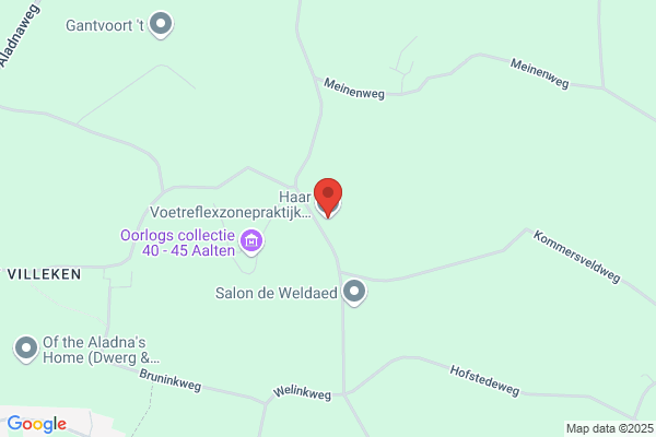 Haar Voetreflexzonepraktijk Sandy ter