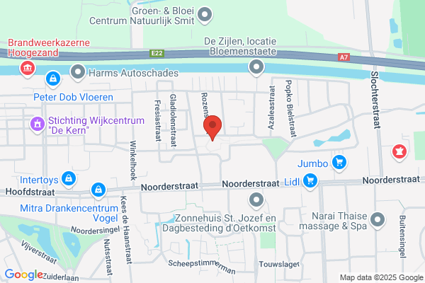 Spinneweb, Het