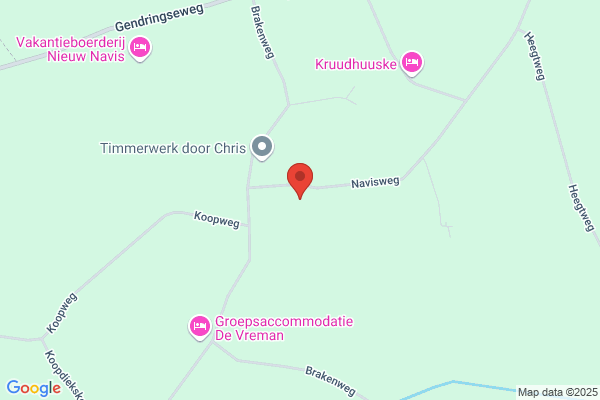 Wildenbeest Vrachttaxi