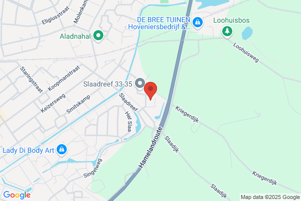 Slaaborg, De