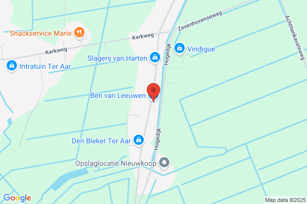 Ben Van Leeuwen Autotechniek