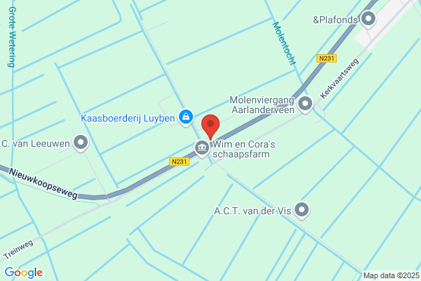 Waagenaar Consult Bv