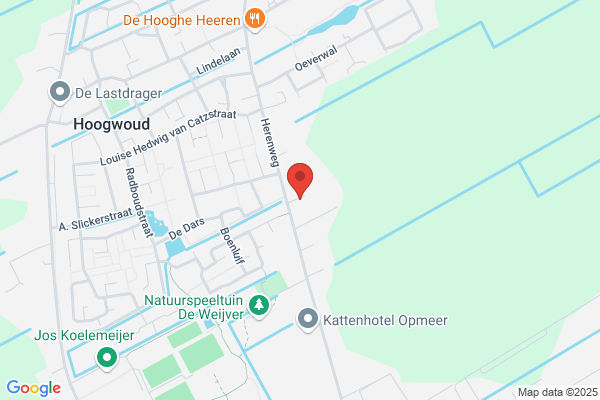 Van Diepen Bloembollen
