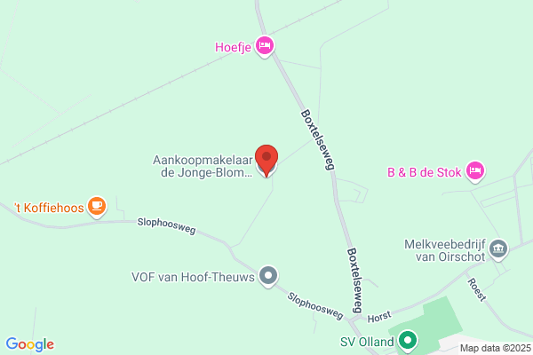 Jonge Blom
