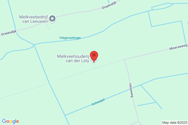 Lien Nederland Bv