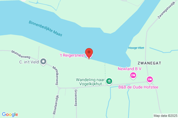 Reigersnest, 't