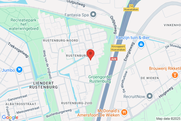 Honing's Klassieke Trouwauto's