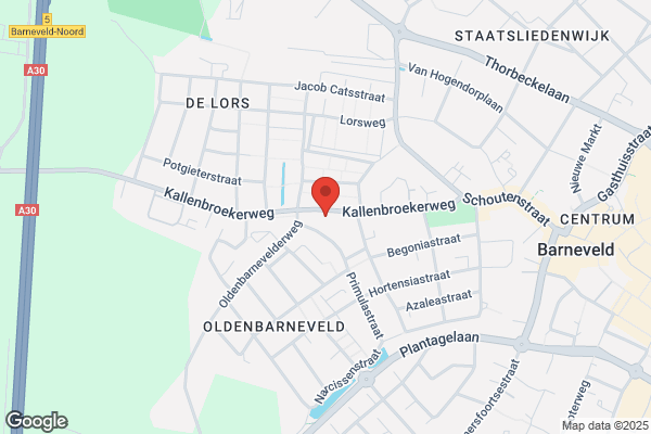 Muziekopleidingen Crescendo P B Faasse
