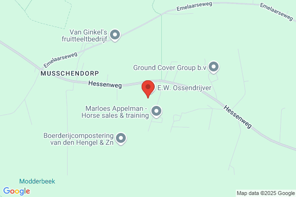 Kwekerij Ton Ossendrijver