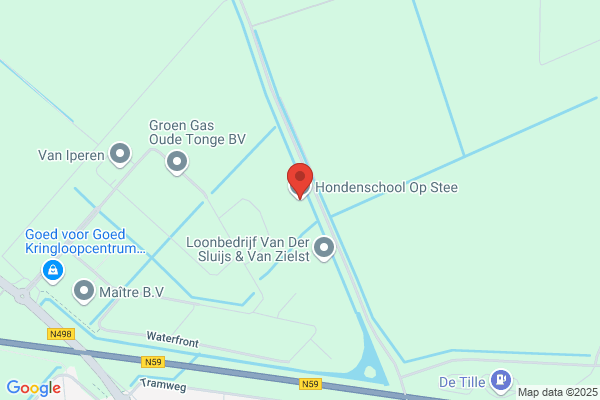 Hondenschool Op Stee
