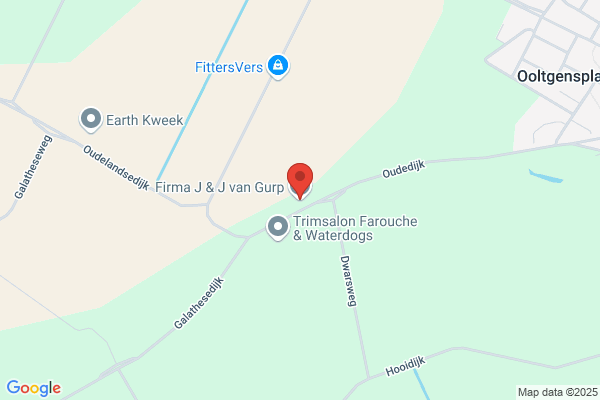 Erf- en Sierbestrating Van Gurp