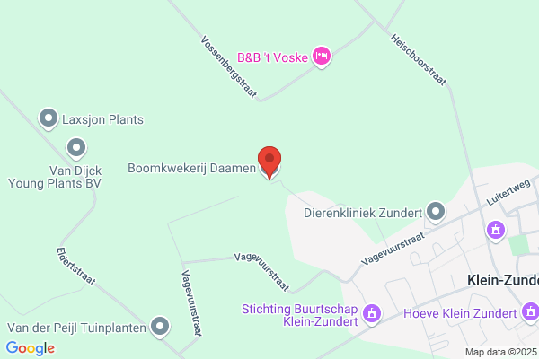 Boomkwekerij A.M.J. Domen Vof
