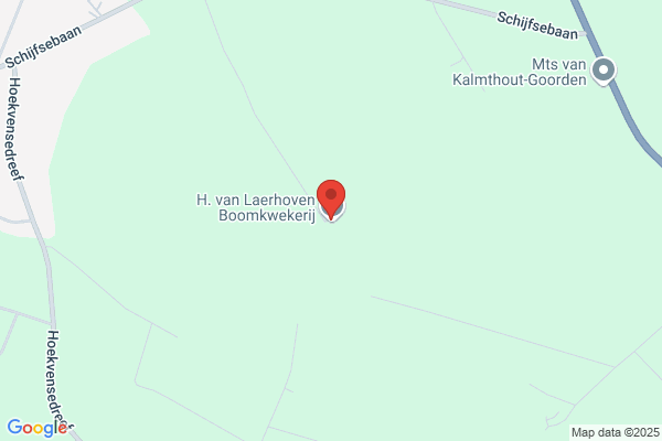 Laerhoven, L Van