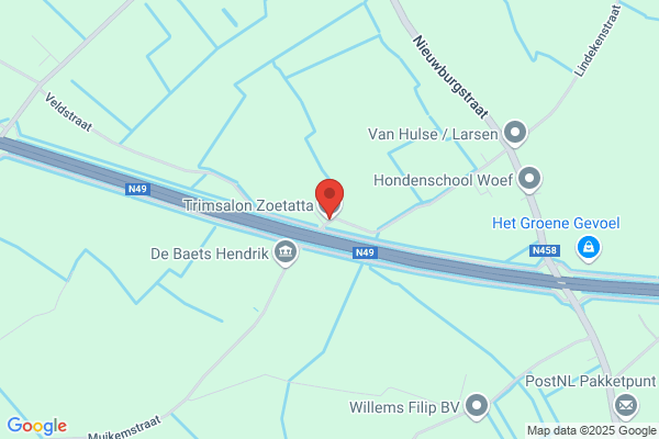 Hondentrimsalon Zelstone