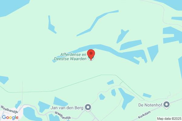 Ernste