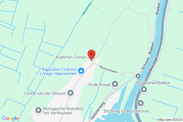 Bloembollenbedrijf Bierman Bv