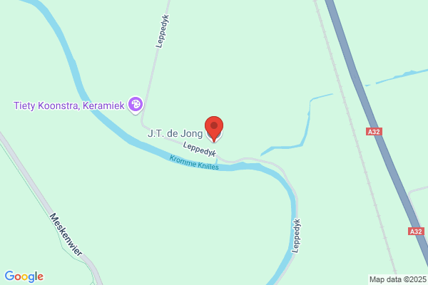 Jong, De