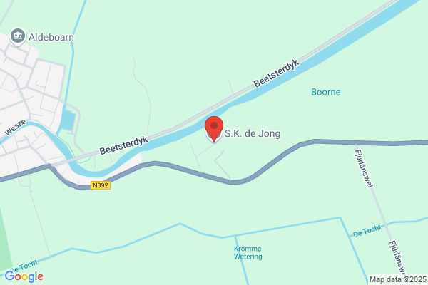 Jong, De