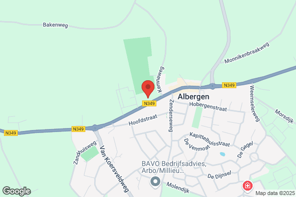Alberger Bökke Carnavalsver, De