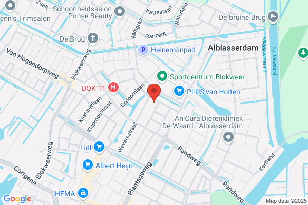 Jong Bv, De