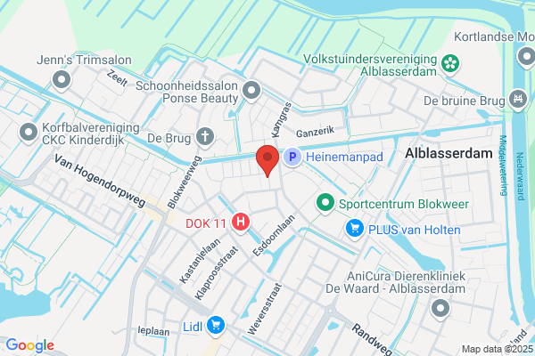 Wit Bv, De