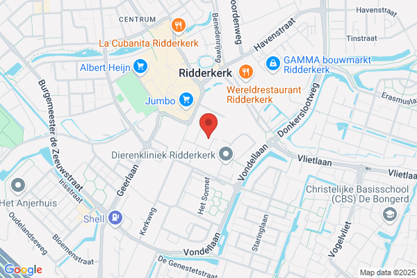 Blaak Bv Automobielbedrijf, De