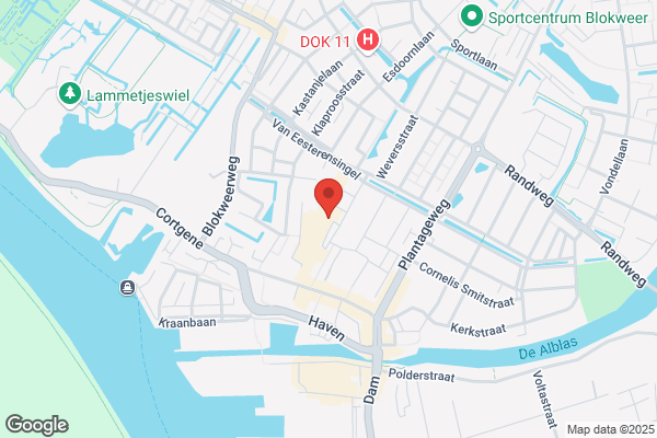 Buitelaar, J