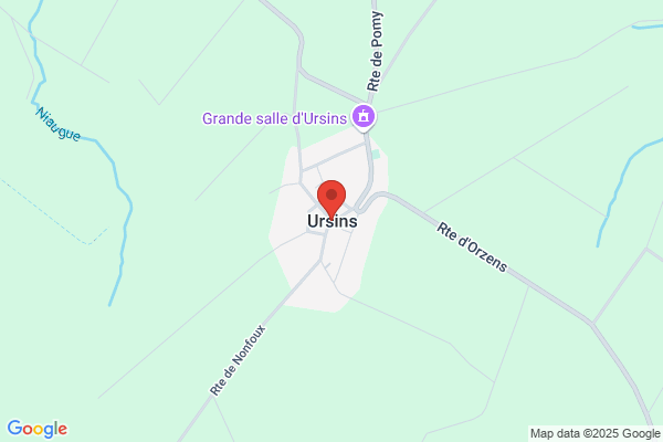 Ursinusschool