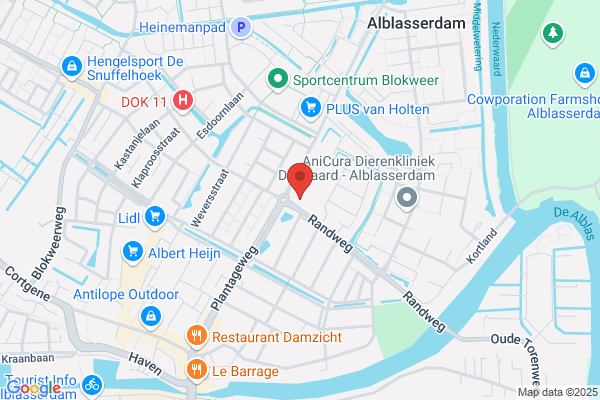 De Punt
