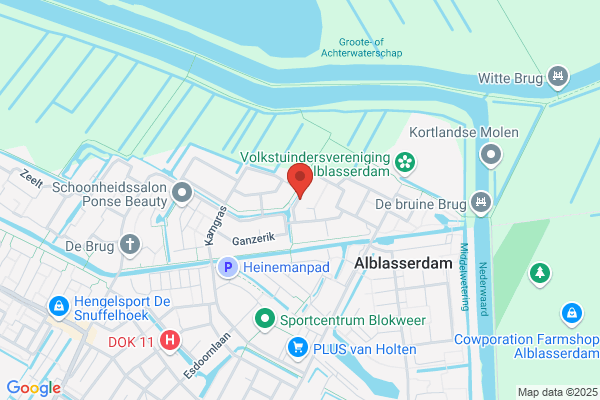 Buijs, A