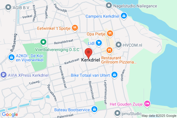 Gemeente Maasdriel Afdeling Financien
