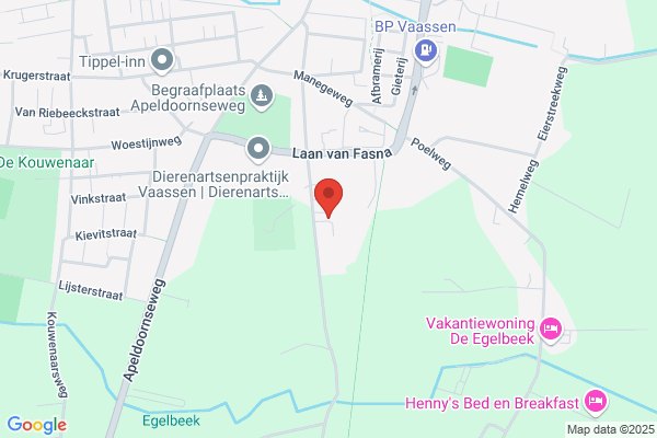 Bruyn, Henk De