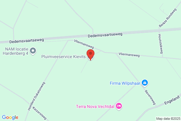 Van Der Borgh Pluimveebedrijf Bv