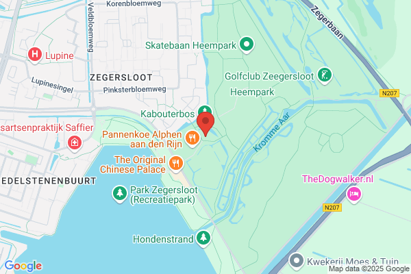 Veenstra, Han