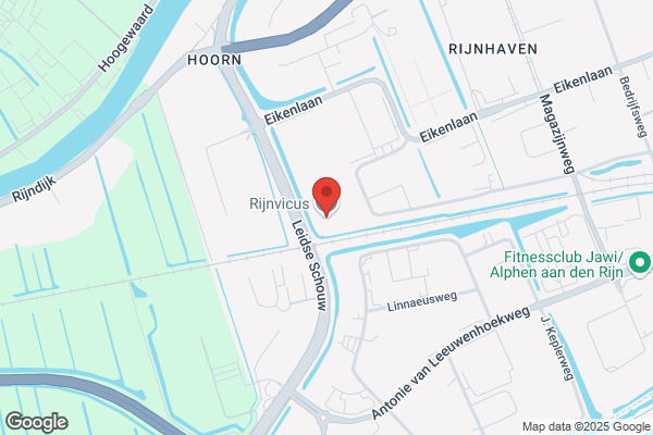 Rijnvicus