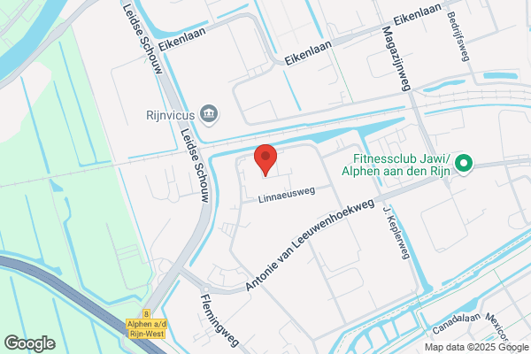 Kameleon Zeefdruk