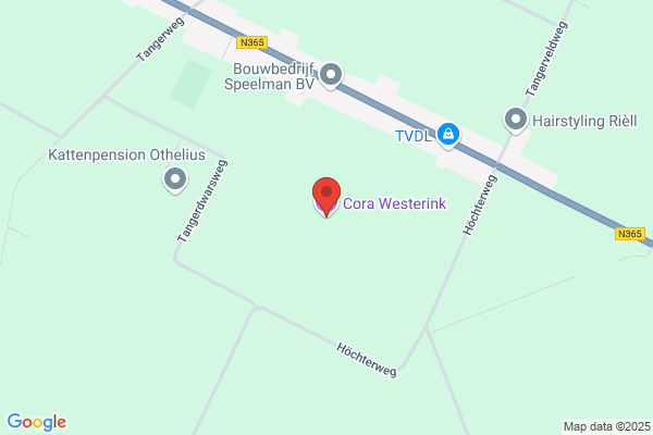 Orthopedagoog R W Westerink