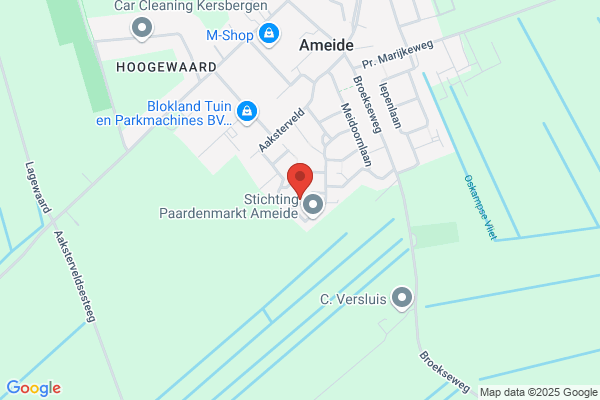 Dijk, H Van