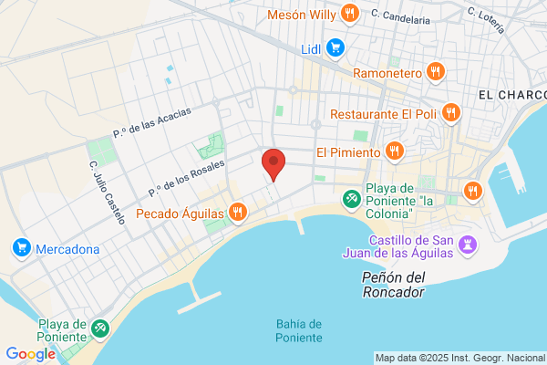 EMPLEO DE AGUILAS SL ALFONSO