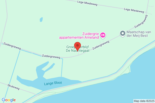 Nachtegaal, De