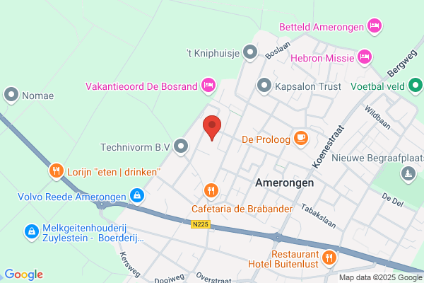 Leeuw, De