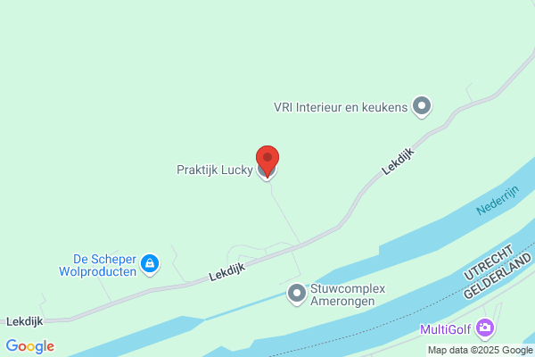 Lecq, Van Der
