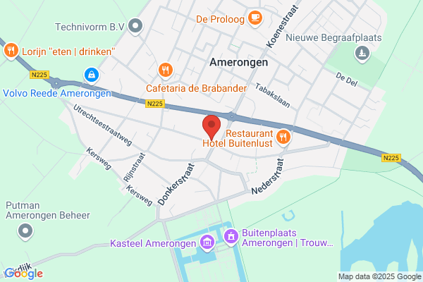 Mr. Ans Van Der Berg Art Consultant