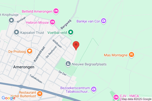 Van Spanje Bedrijfsadviezen