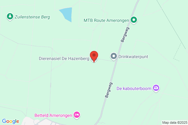 De Hazenberg