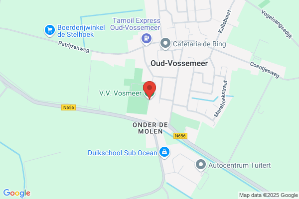 Vosmeer, Salon