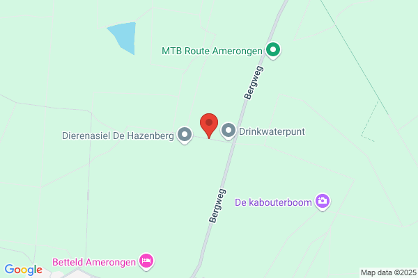 Raadschap Bv