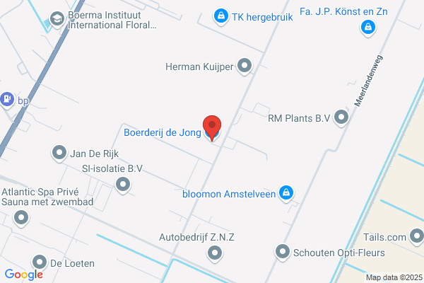 Jonge, Mr P De