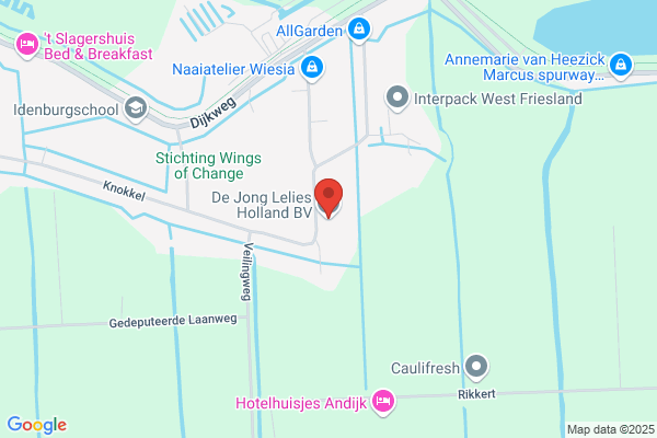 De Jong Lelies Holland Bv